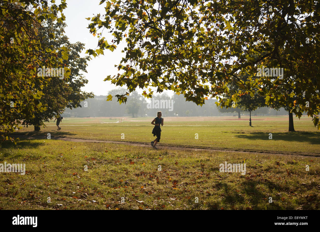 Morning Jogger on Clapham Common - London UK Stock Photo