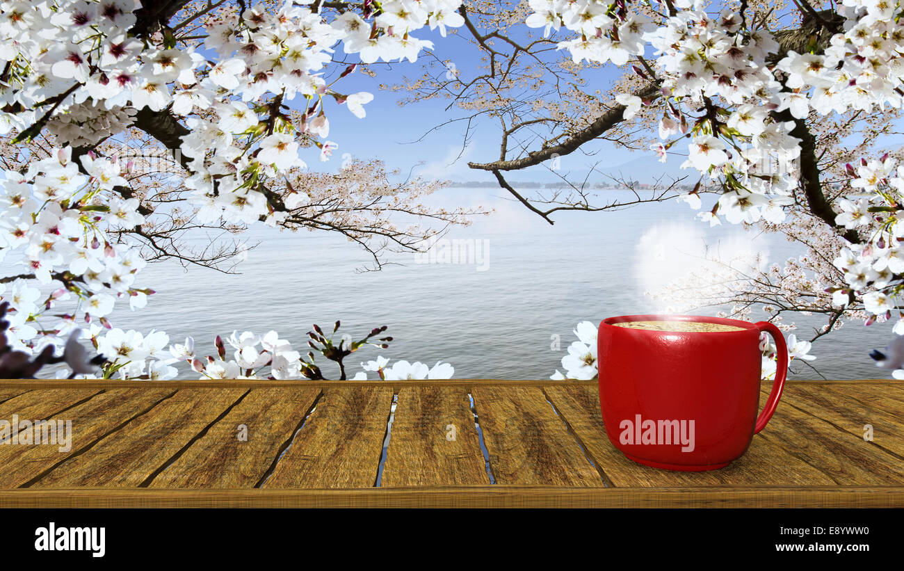 sakura with nice place for drink for adv or others purpose use Stock Photo