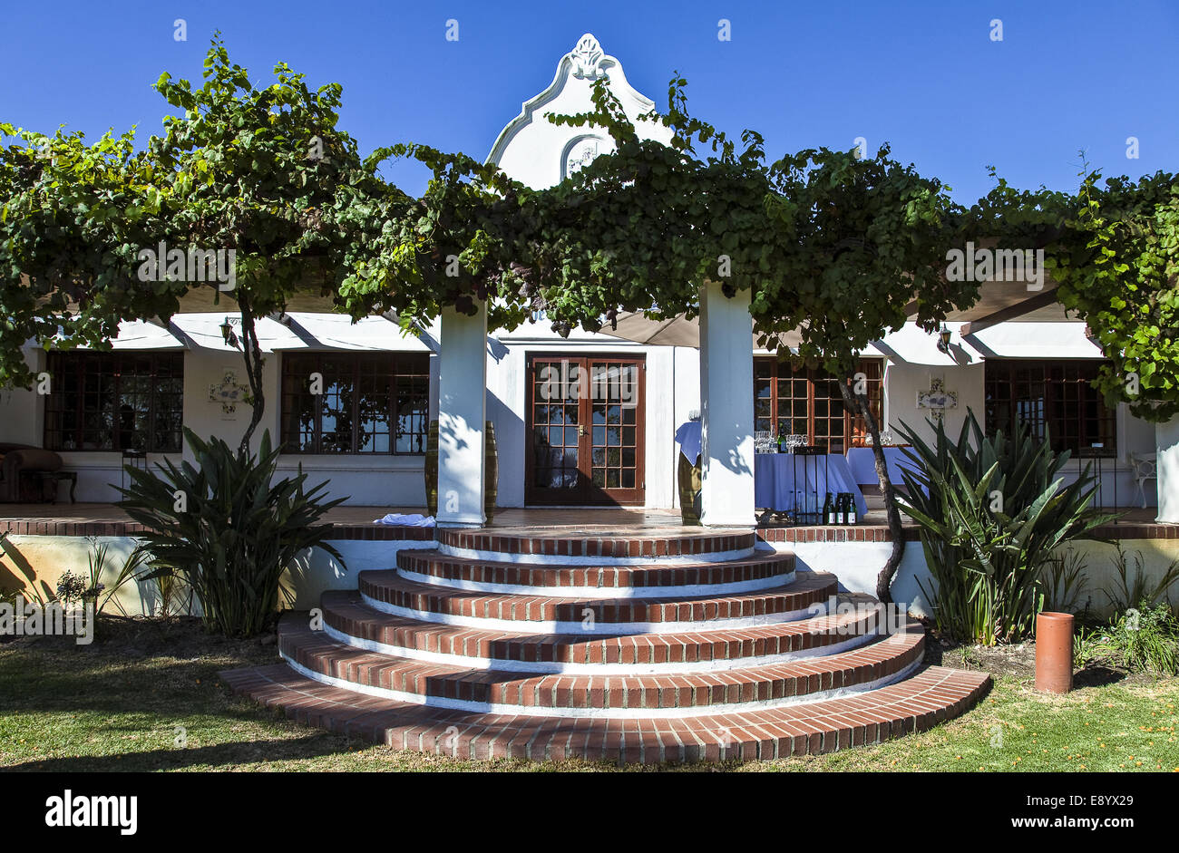 South Africa, Cape town, Stellenbosh, the Saxenburg wine farm Stock Photo