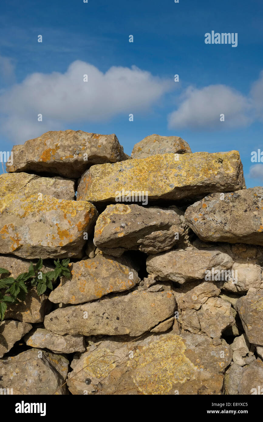 A dry stone wall (also known as a dry-stone dyke, drystane dyke, dry-stone hedge, or rock fence) in Lincolnshire, England. Stock Photo