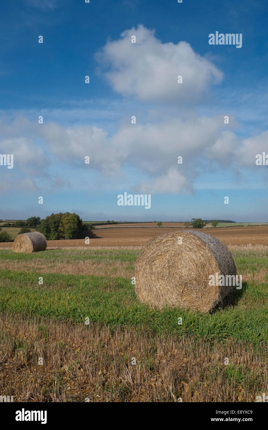 Hay bales on an autumn day in Sudbrook, Lincolnshire, England. Stock Photo