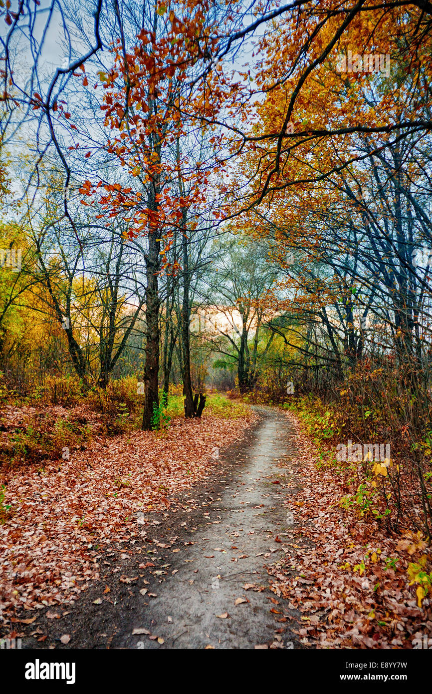 Gold autumn landscape hi-res stock photography and images - Alamy