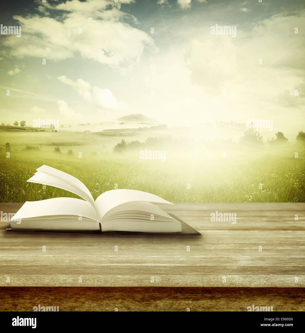 Open book on table in front of spring background Stock Photo