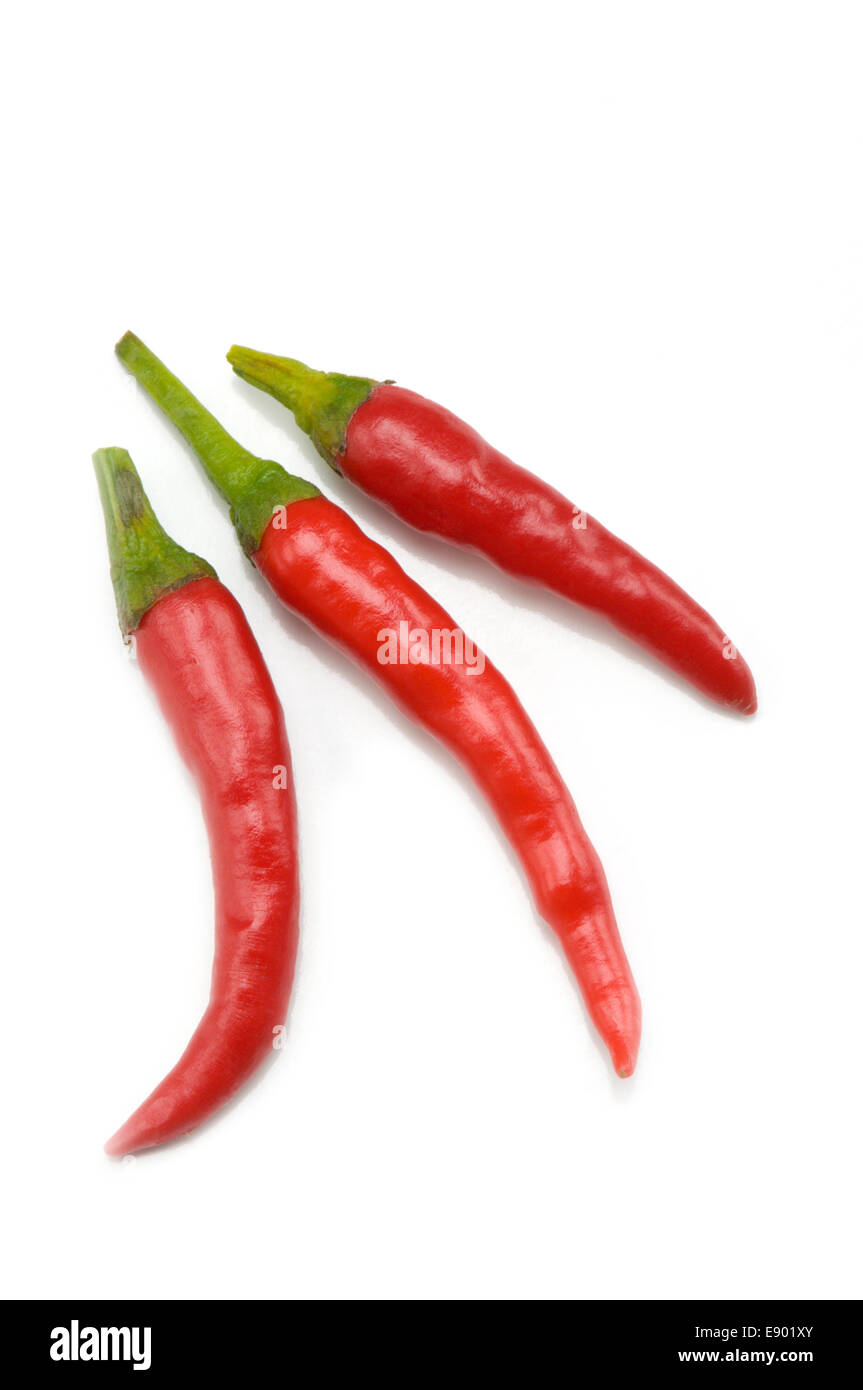 Red Hot pepper on white Stock Photo