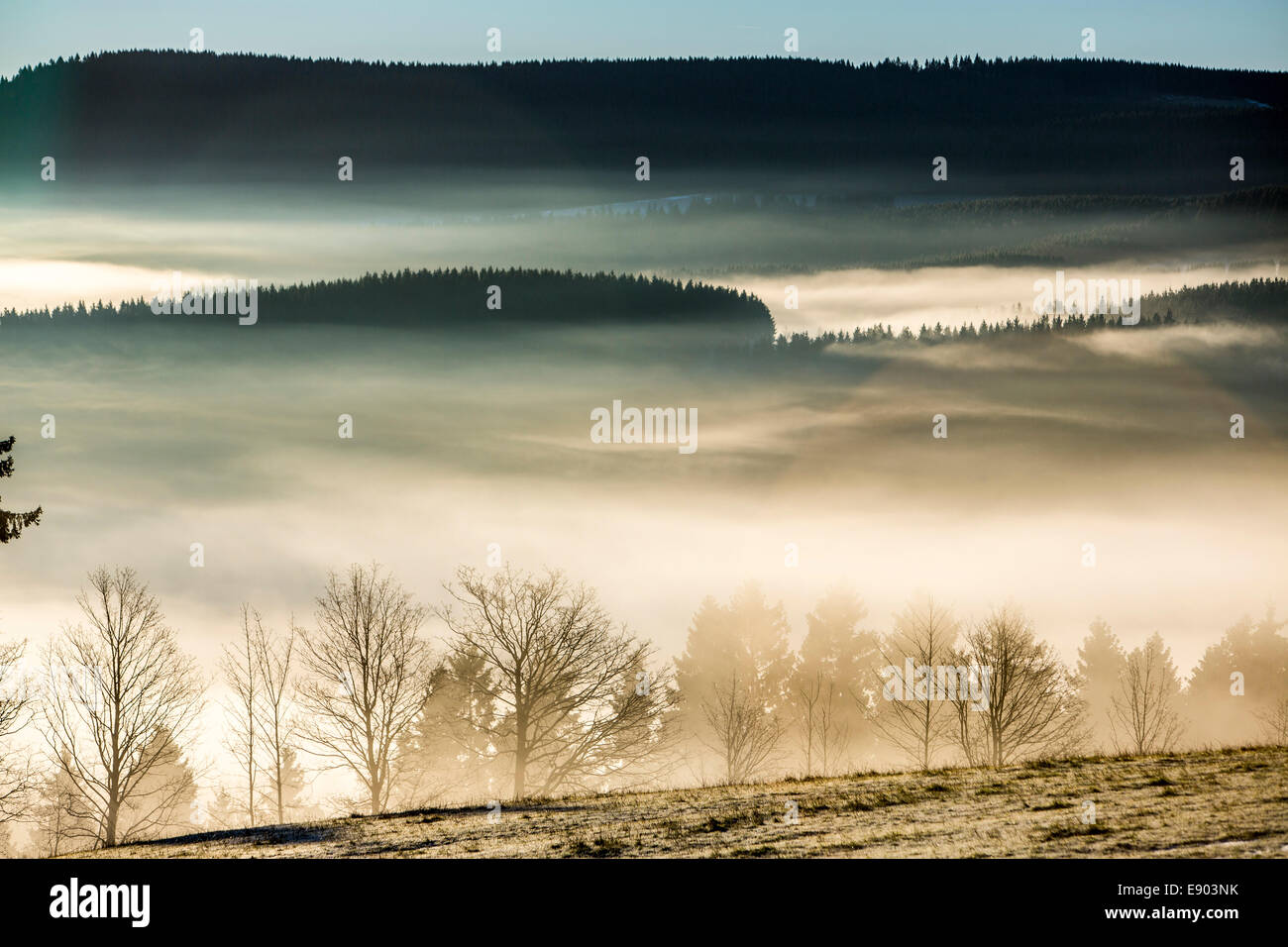 Sauerland, central mountain area in north west Germany, early morning fog in autumn. Stock Photo