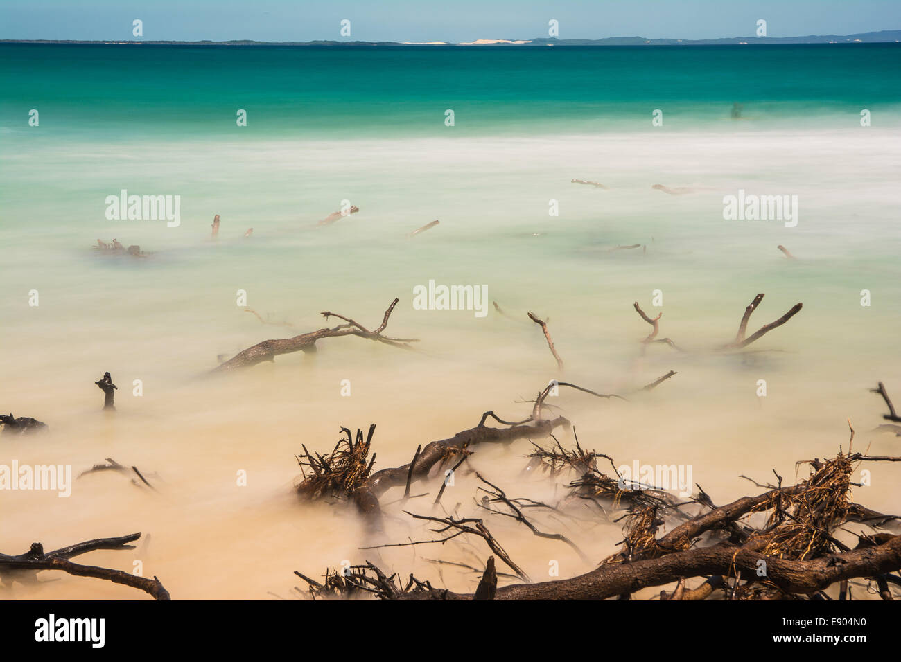 Dead trees in the surf near Adder Rock, North Stradbroke Island, Queensland, Australia Stock Photo