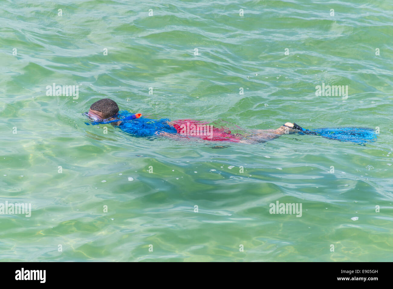 Snorkeler diver hi-res stock photography and images - Alamy