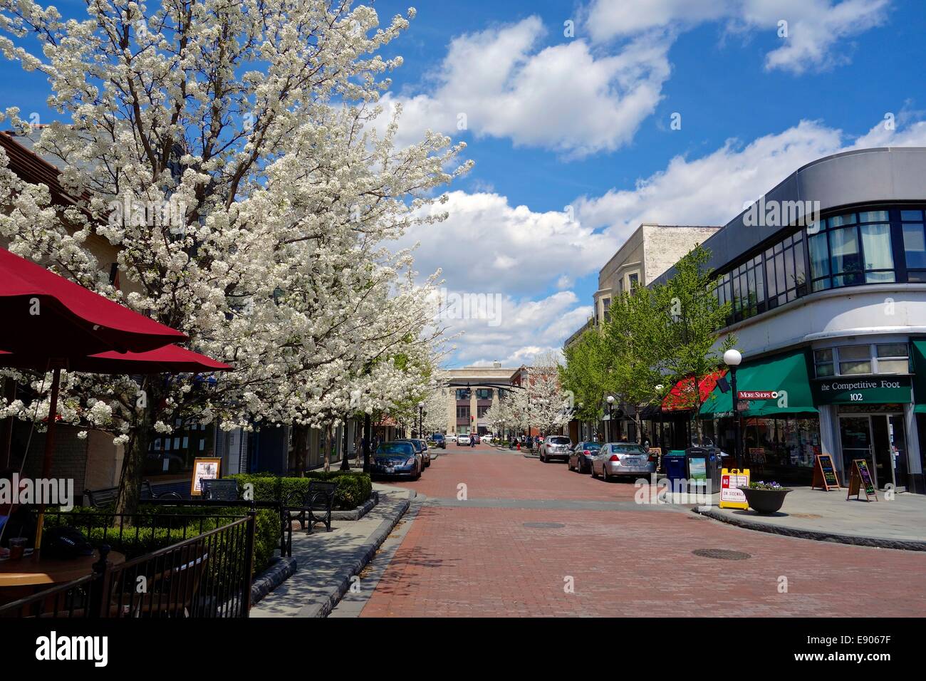 Downtown Oak Park Illinois, Marion Street in spring Stock Photo Alamy