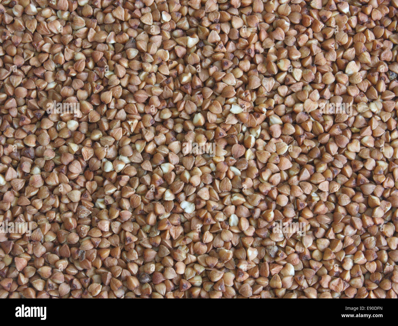 Buckwheat seeds Stock Photo Alamy
