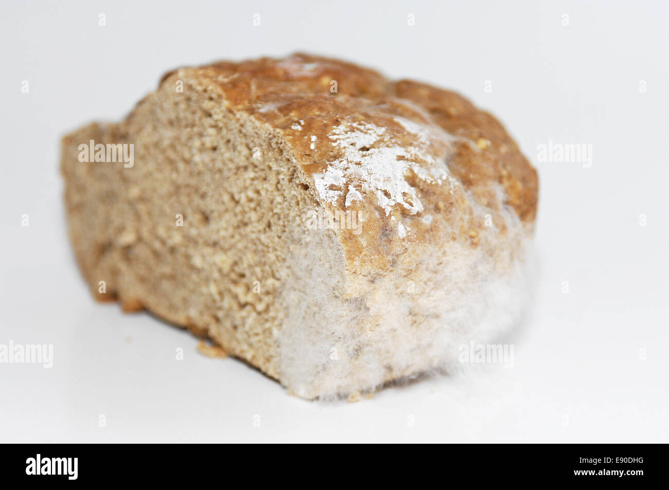 Bread mould hi-res stock photography and images - Alamy