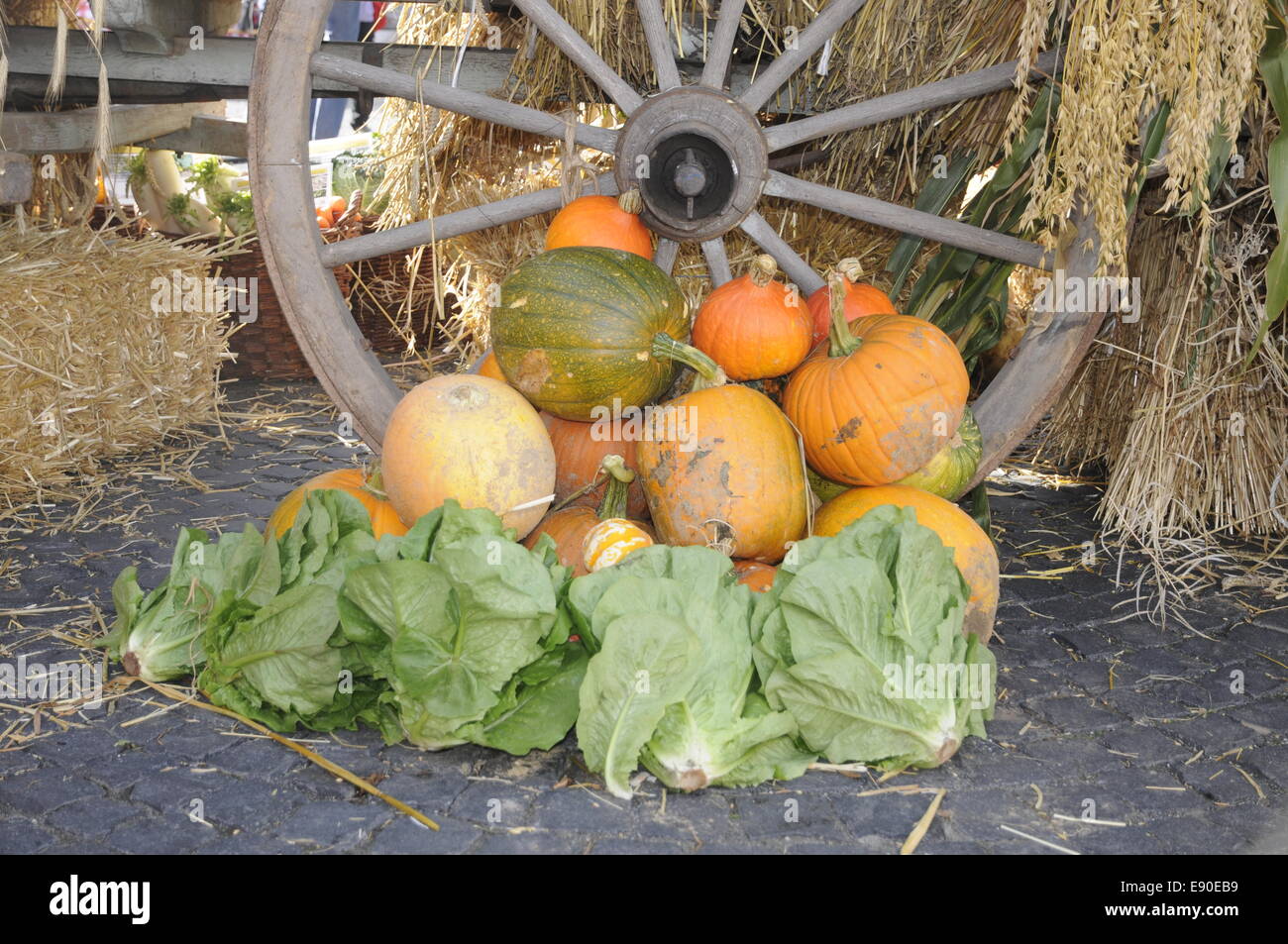 Decorative pumpkins in a wagon wheel Stock Photo - Alamy