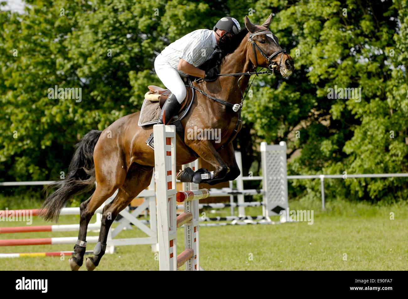 Show jumping Stock Photo