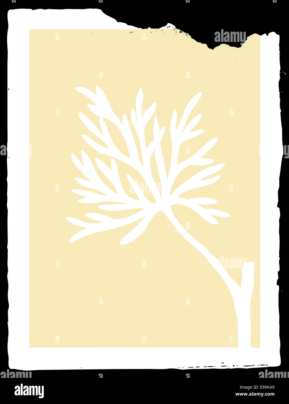 Decorative frame drawing hi-res stock photography and images - Alamy