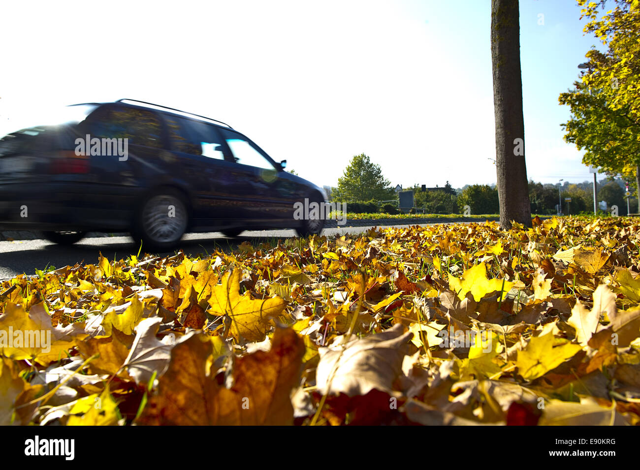 Skidding through foliage Stock Photo