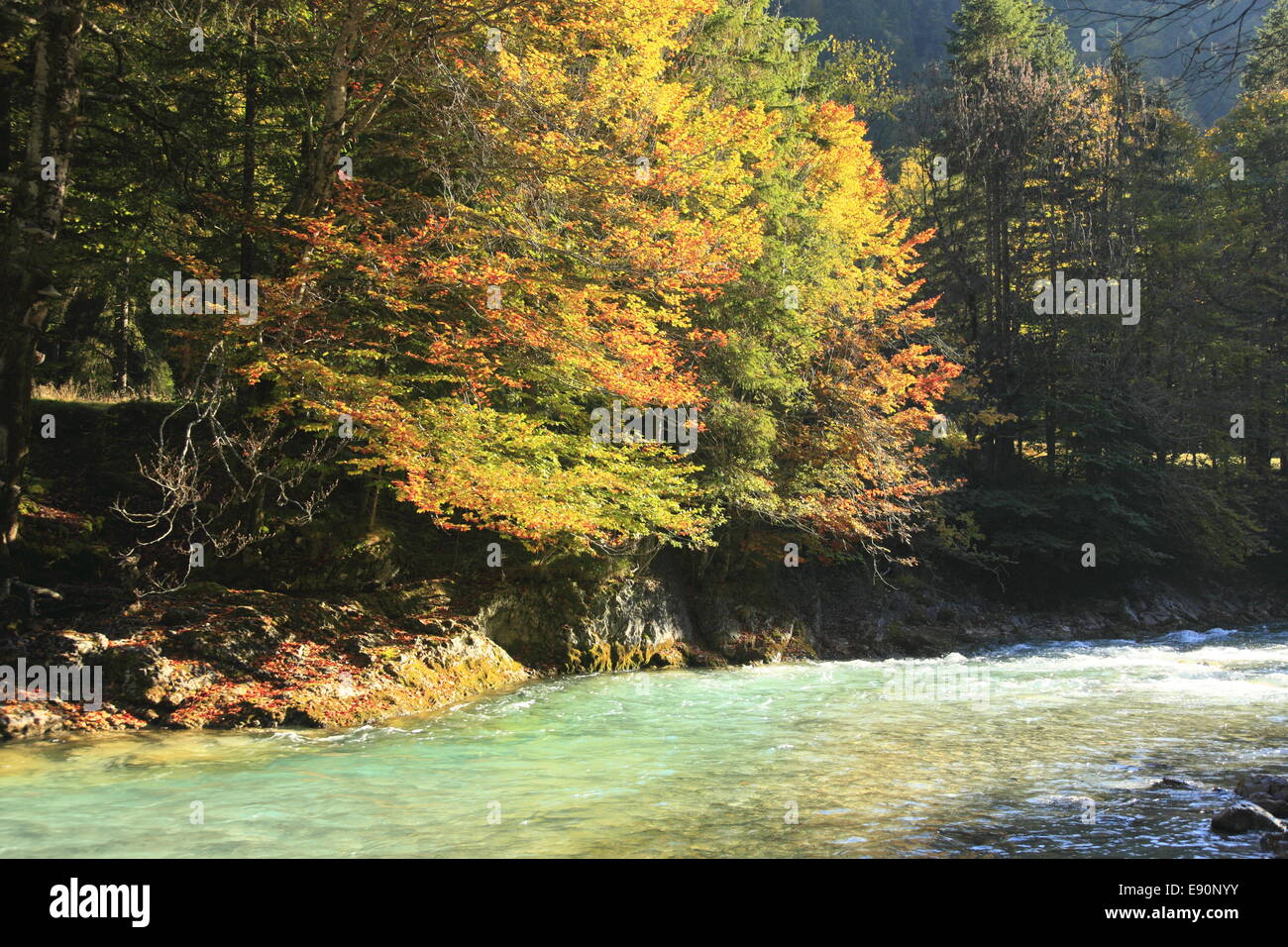 creek Stock Photo