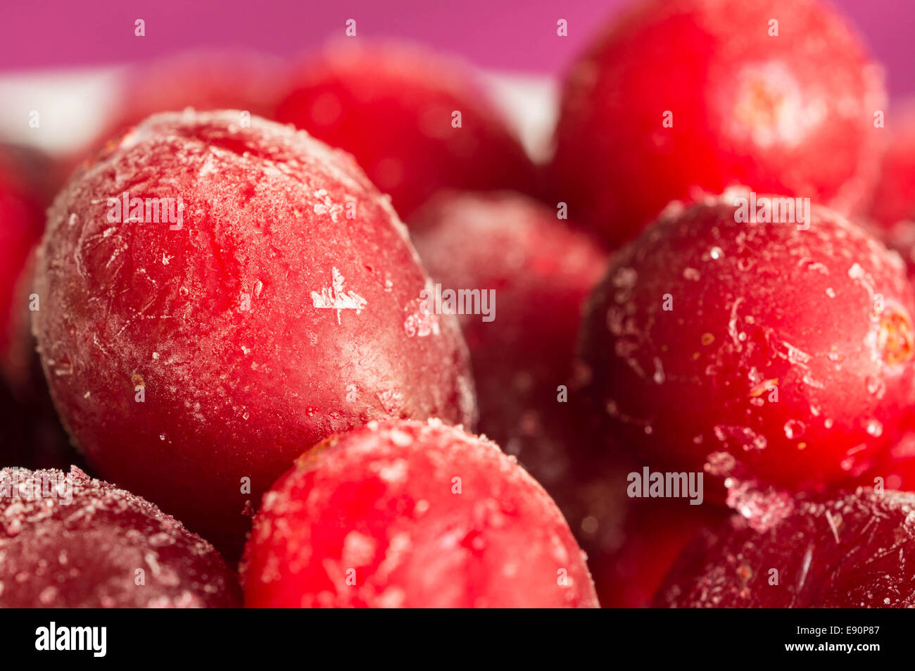 The frozen cranberry close up Stock Photo Alamy