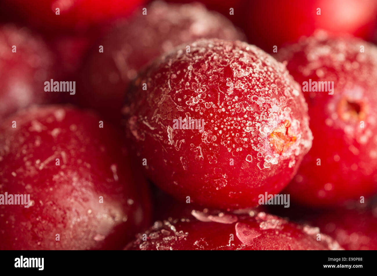 The frozen cranberry Stock Photo Alamy