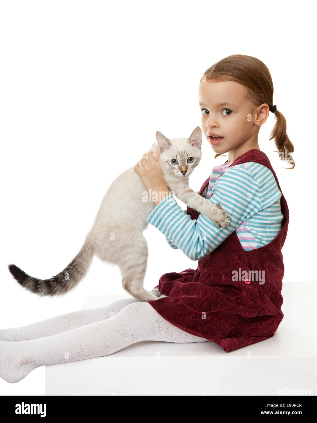 Beautiful little girl with a kitten Stock Photo - Alamy