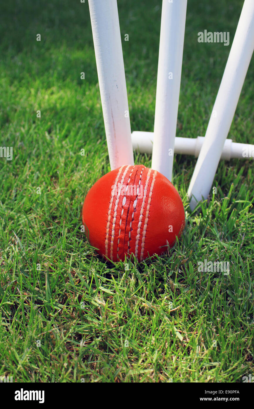 Cricket Ball and Stumps Stock Photo Alamy