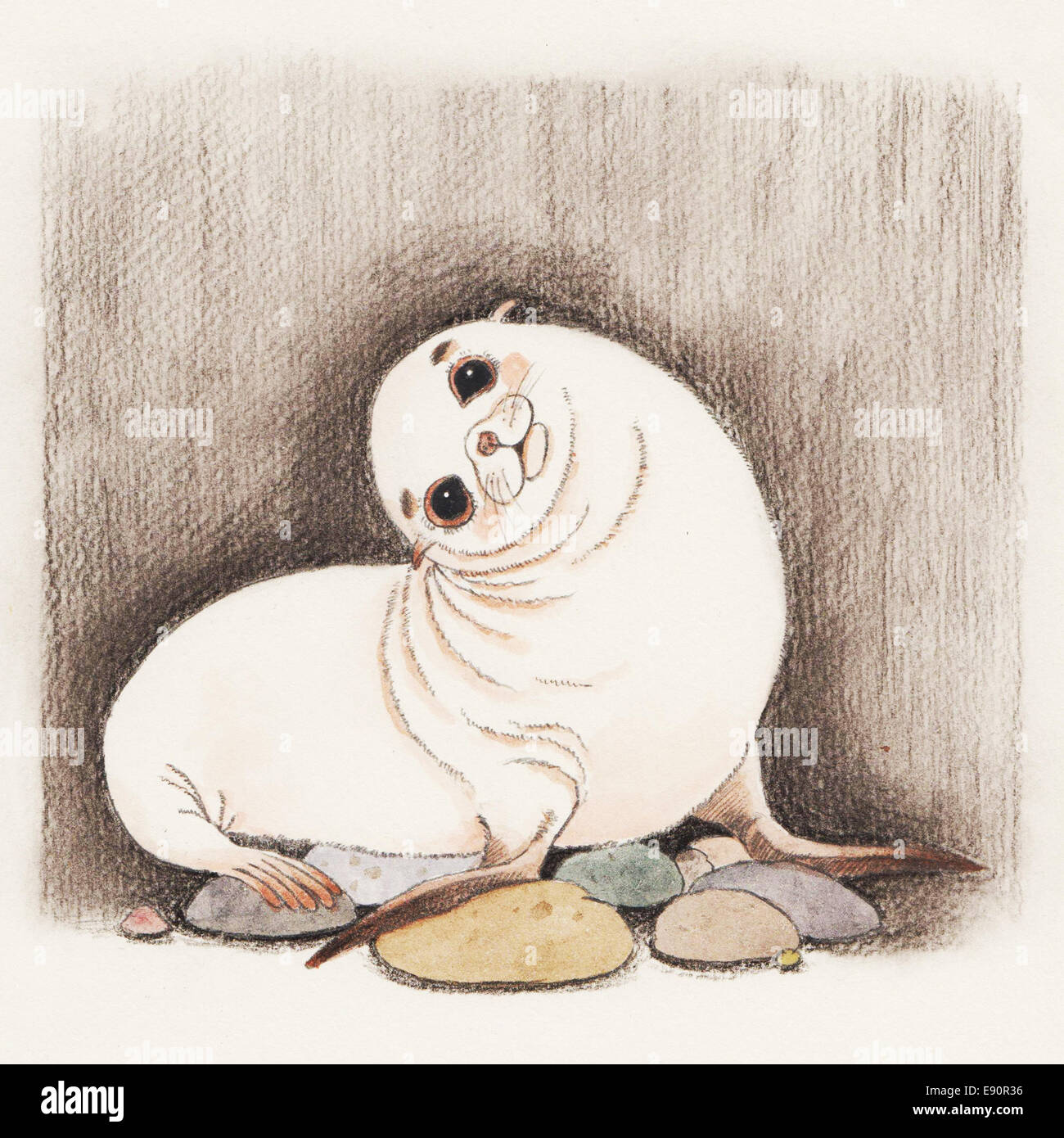 Page 2 Seal Animal Drawing High Resolution Stock Photography And Images Alamy Page 2 Seal Animal Drawing High Resolution Stock Photography And Images Alamy