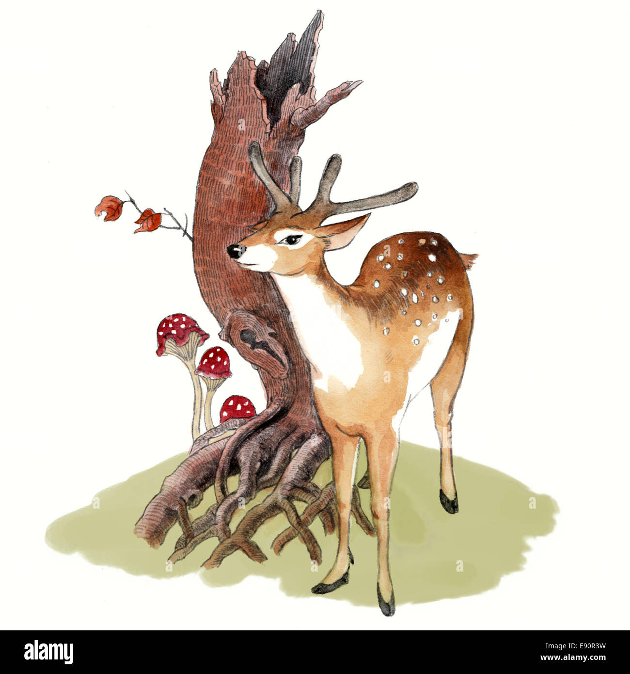 Drawing Gallary White Tailed Deer  Sketch Picture Of Deer PNG Image   Transparent PNG Free Download on SeekPNG
