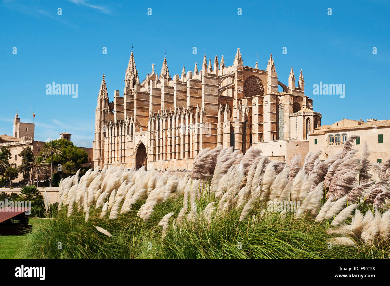 Cathedral of Palma de Mallorca Stock Photo