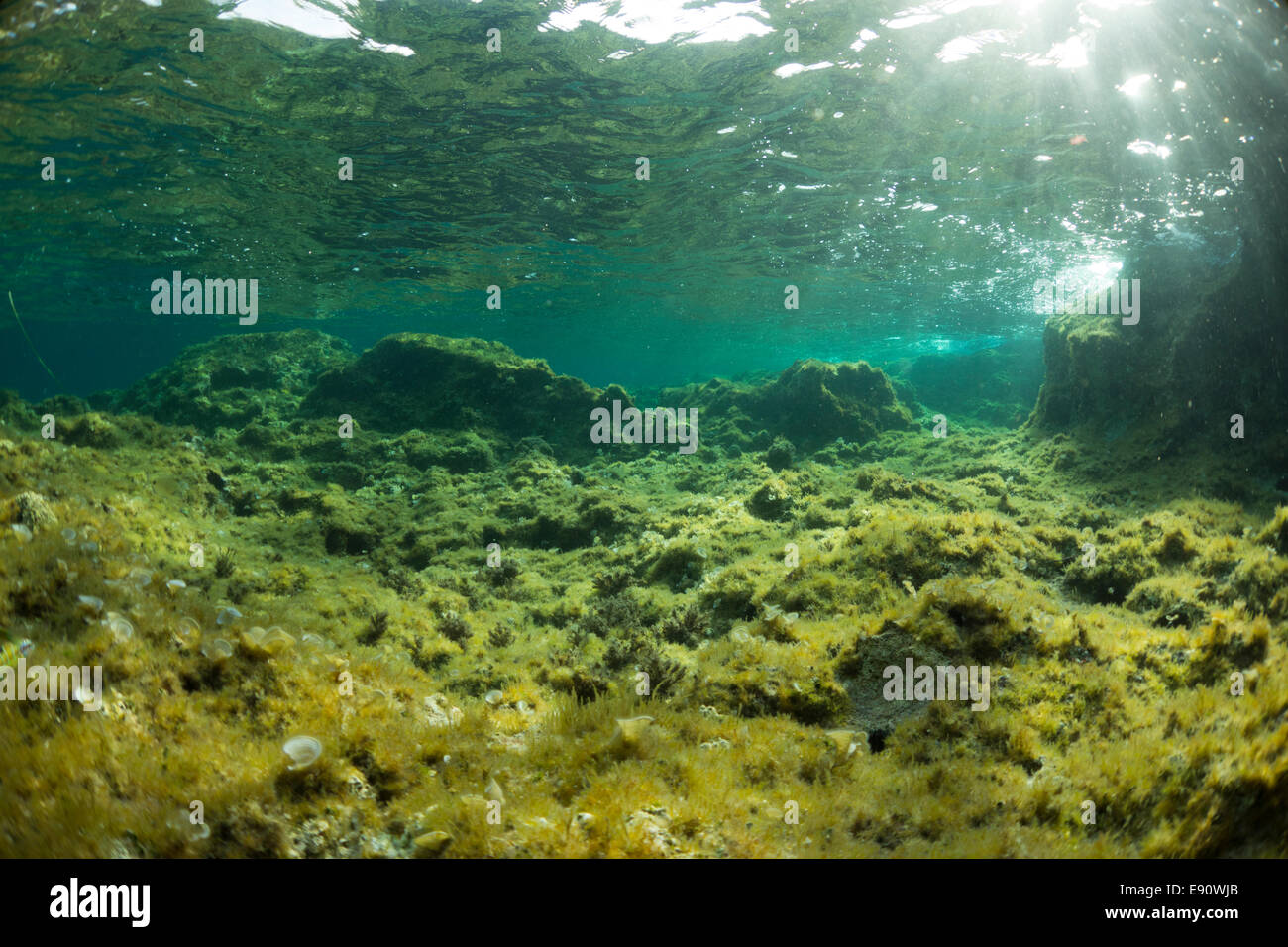 Underwater Landscape of the Mediterranean Sea in Cirkewwa, Malta. Stock Photo