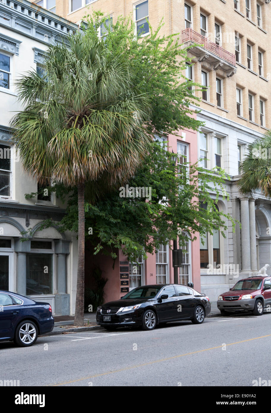 Storefronts and palm trees in downtown Charleston, South Carolina. Stock Photo