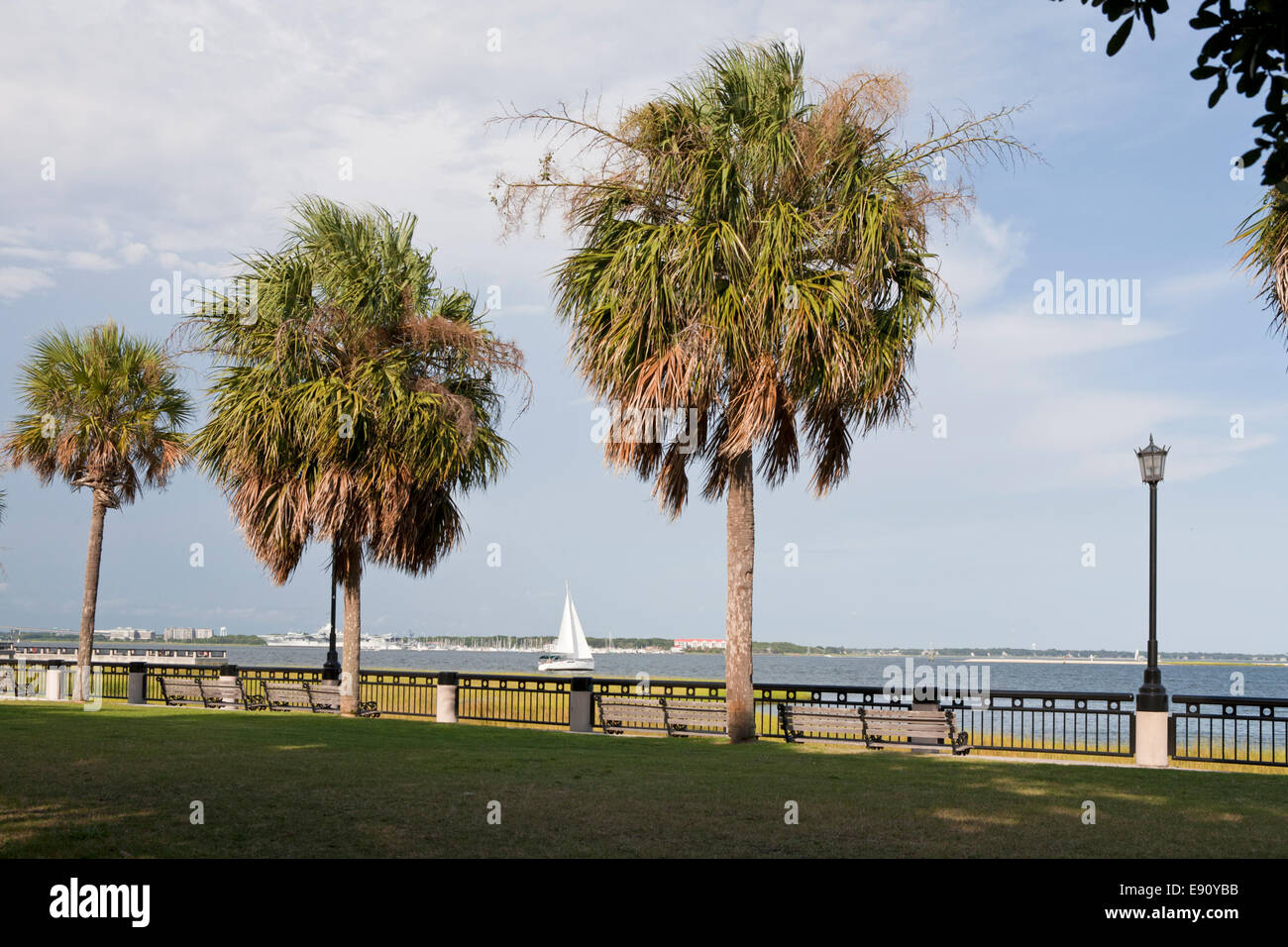 Waterfront and palm trees in the downtown historic district of
