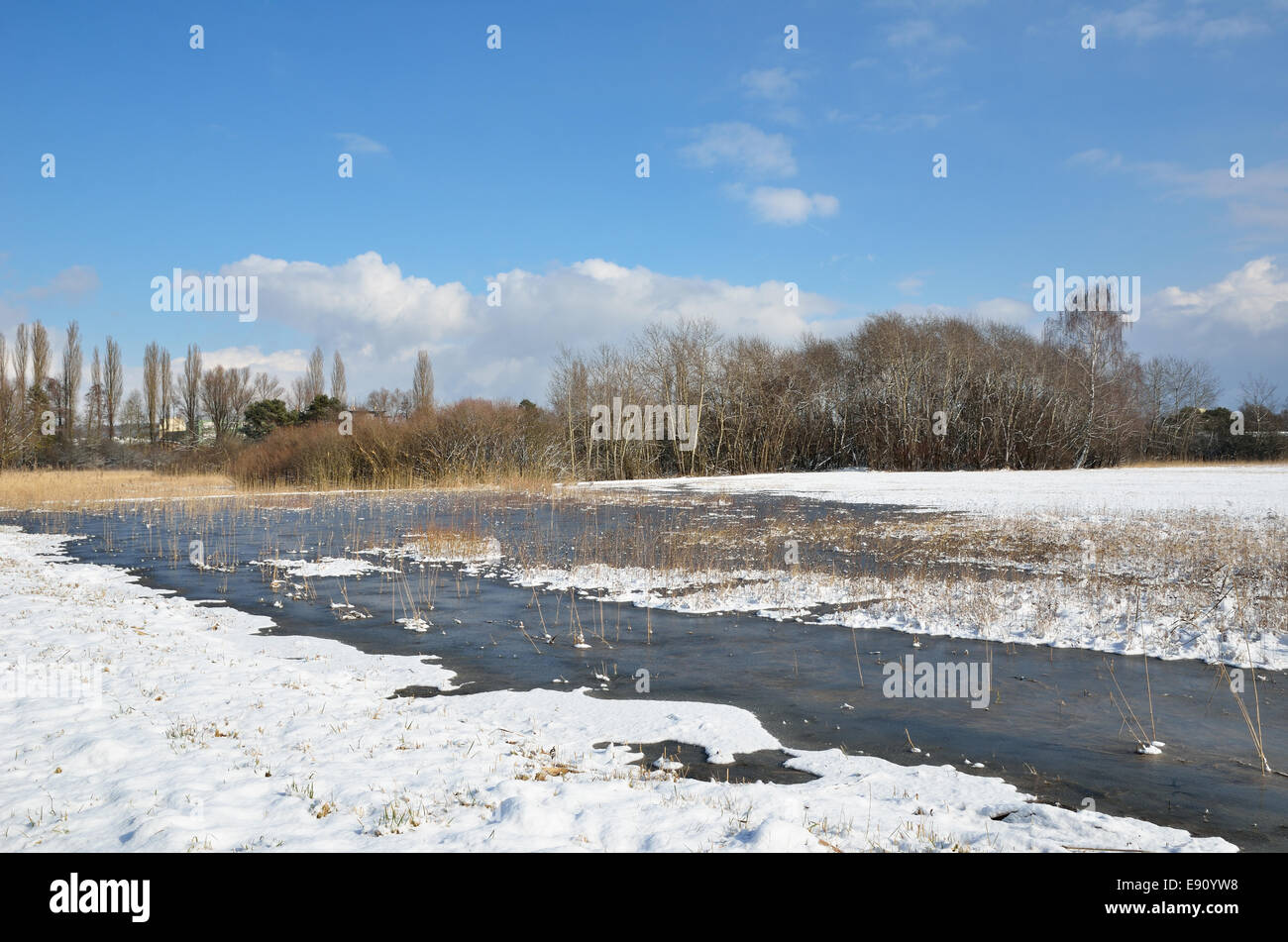 Flood plain is covered with light snow. There are several shrubs and trees, a pond or swamp. Stock Photo