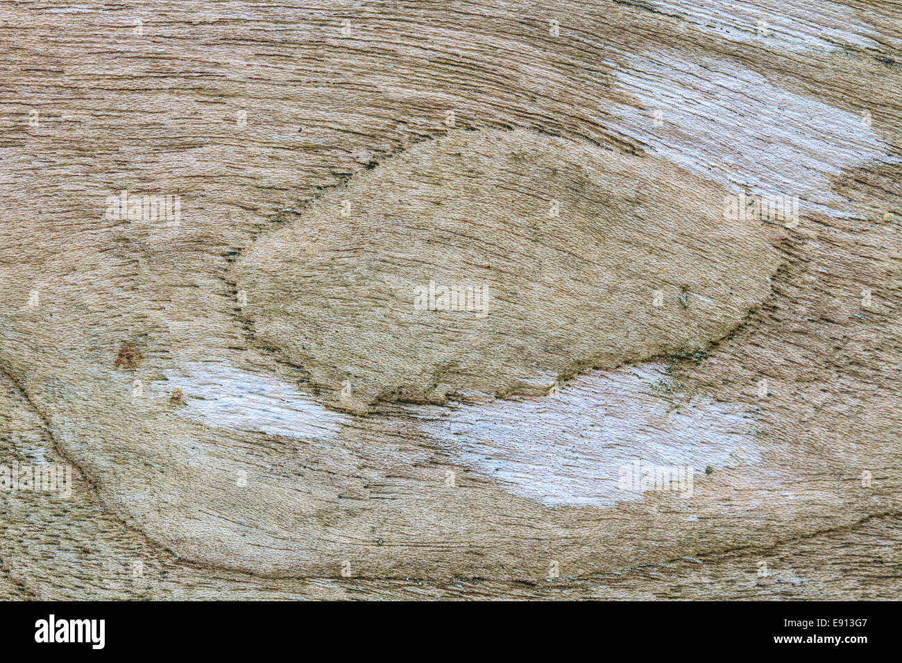 texture of bark wood use as natural background Stock Photo - Alamy
