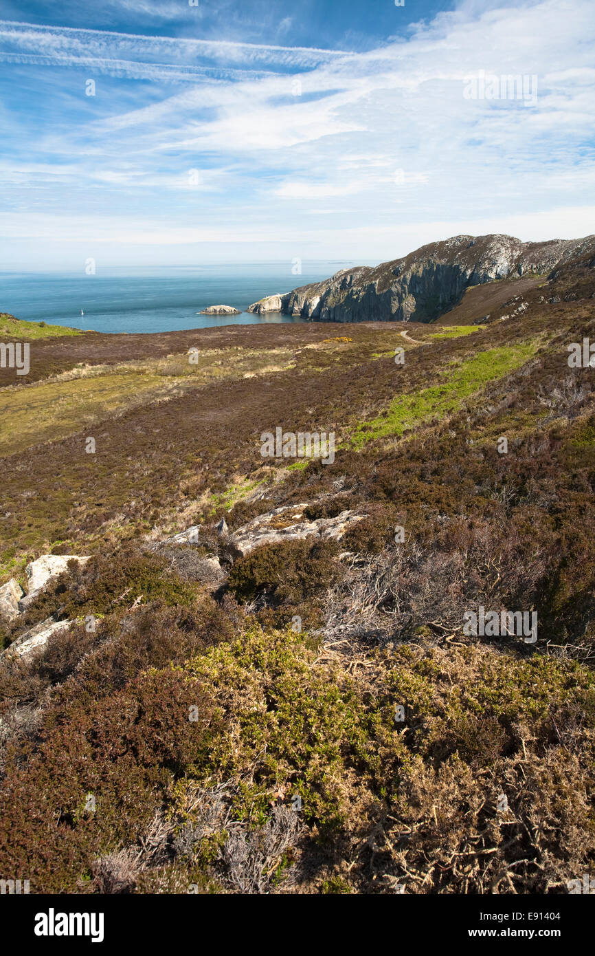 The Anglesey coastline close to South Stack, Wales Stock Photo - Alamy