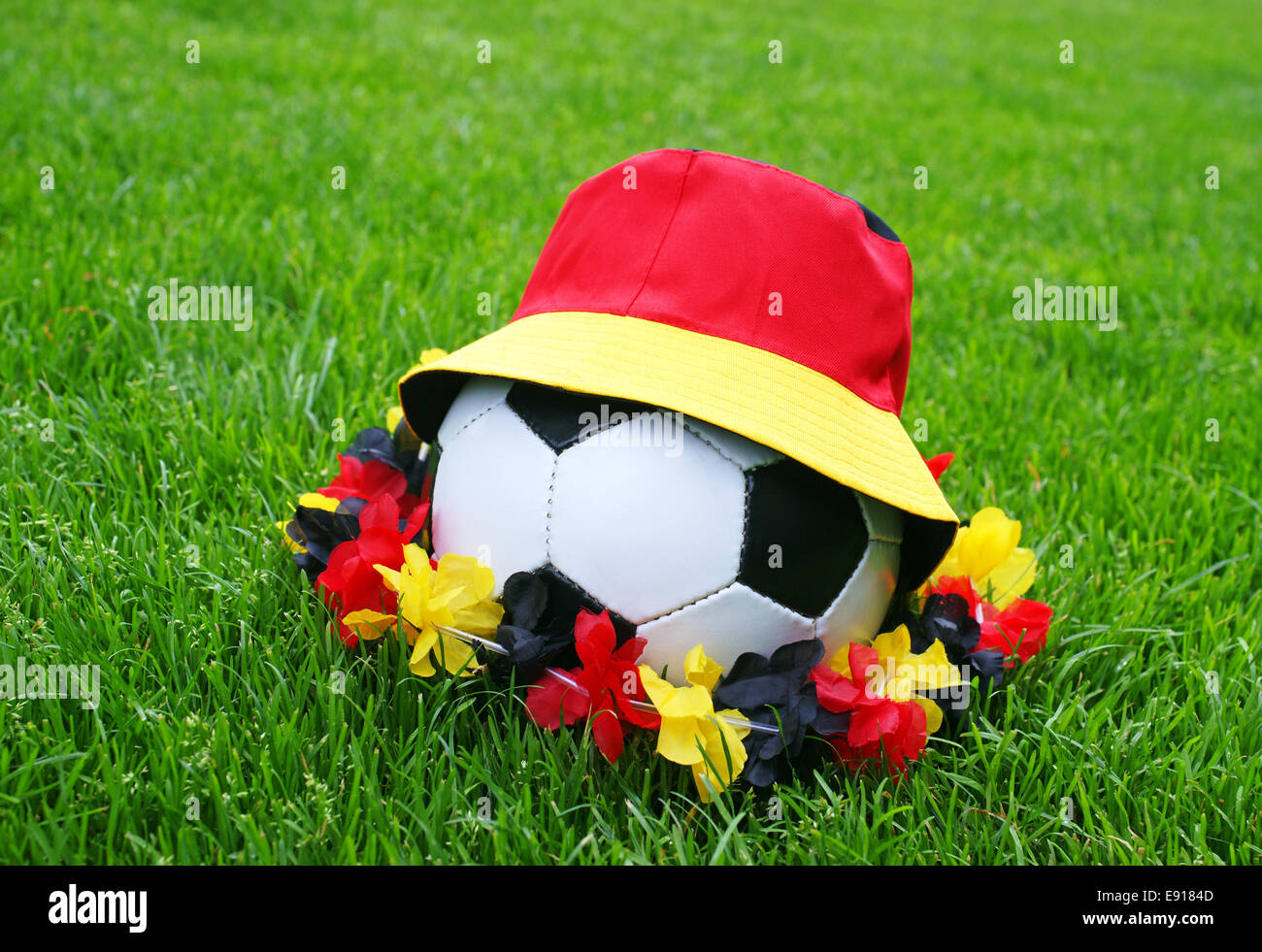 Soccer Fan Concept Stock Photo Alamy