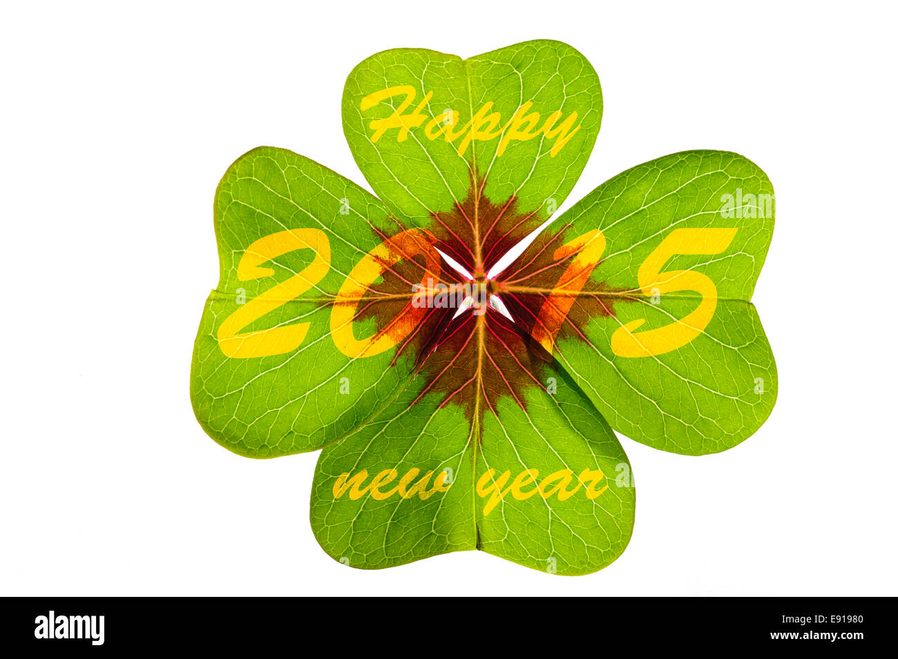 new year 2015 with clover leaf Stock Photo