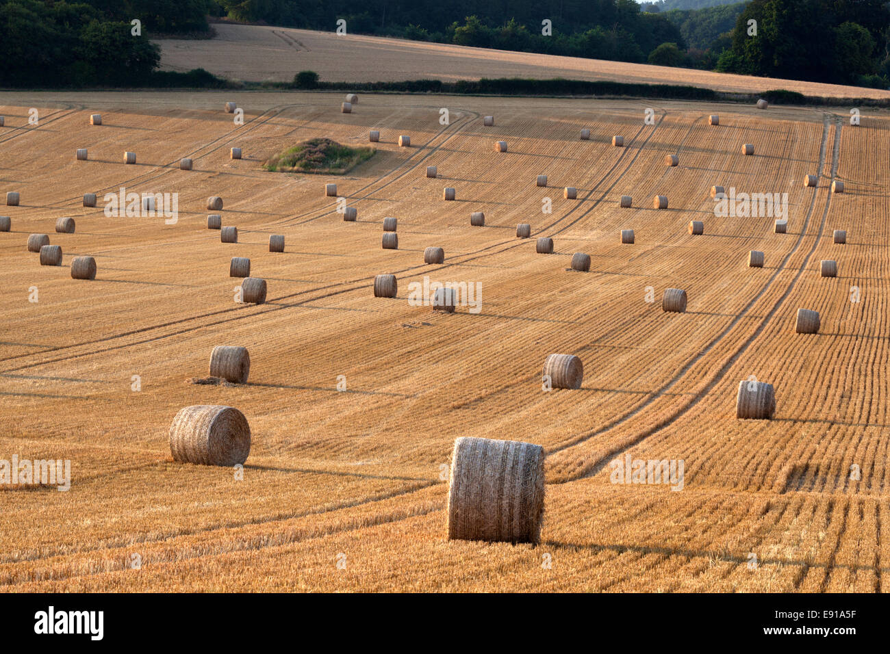 Round hay bales, Swinbrook, Cotswolds, Oxfordshire, England, United Kingdom, Europe Stock Photo