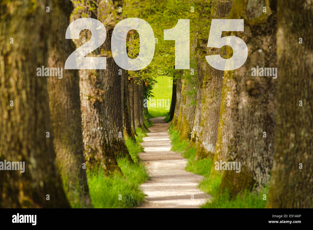 the way to new year 2015 Stock Photo