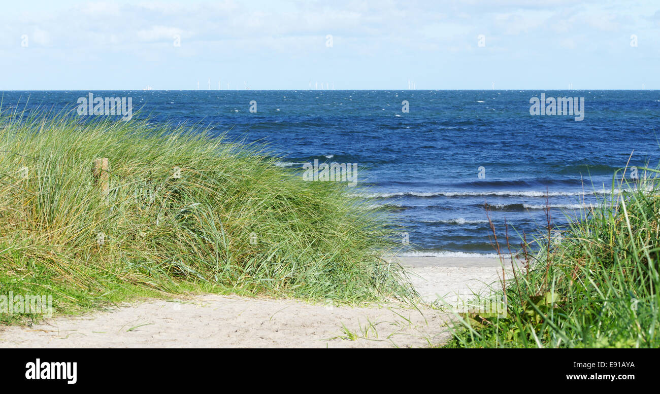 Dune at the Beach Stock Photo - Alamy