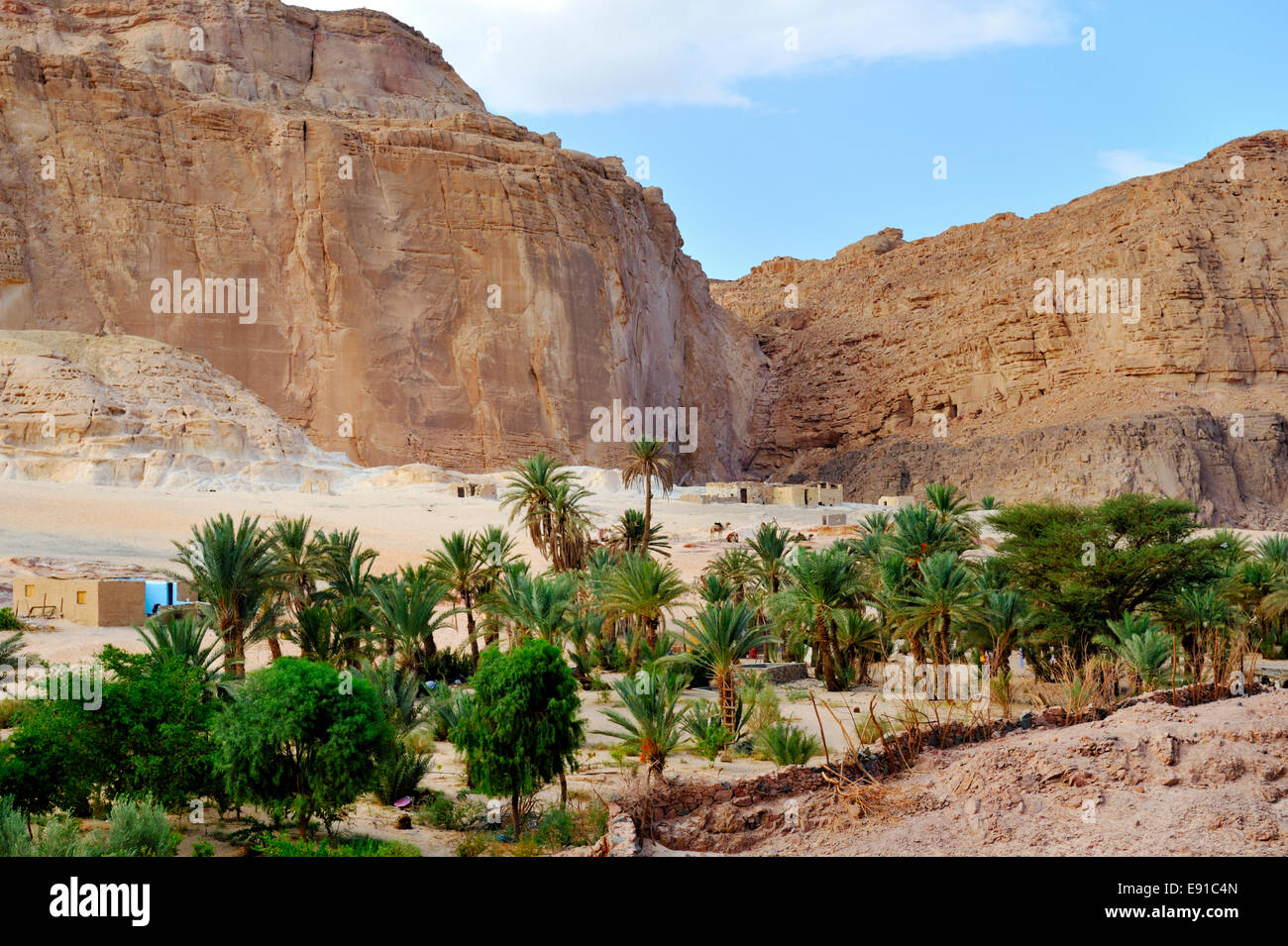 Ain Hudra (or Ayun Khodra) Oasis below impressive cliffs in south Sinai desert a Bedouin camp popular with tourists, Egypt Stock Photo