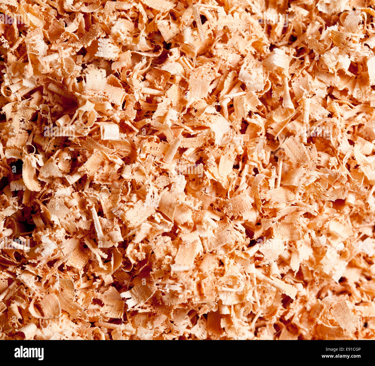 Sawdust floor hires stock photography and images Alamy