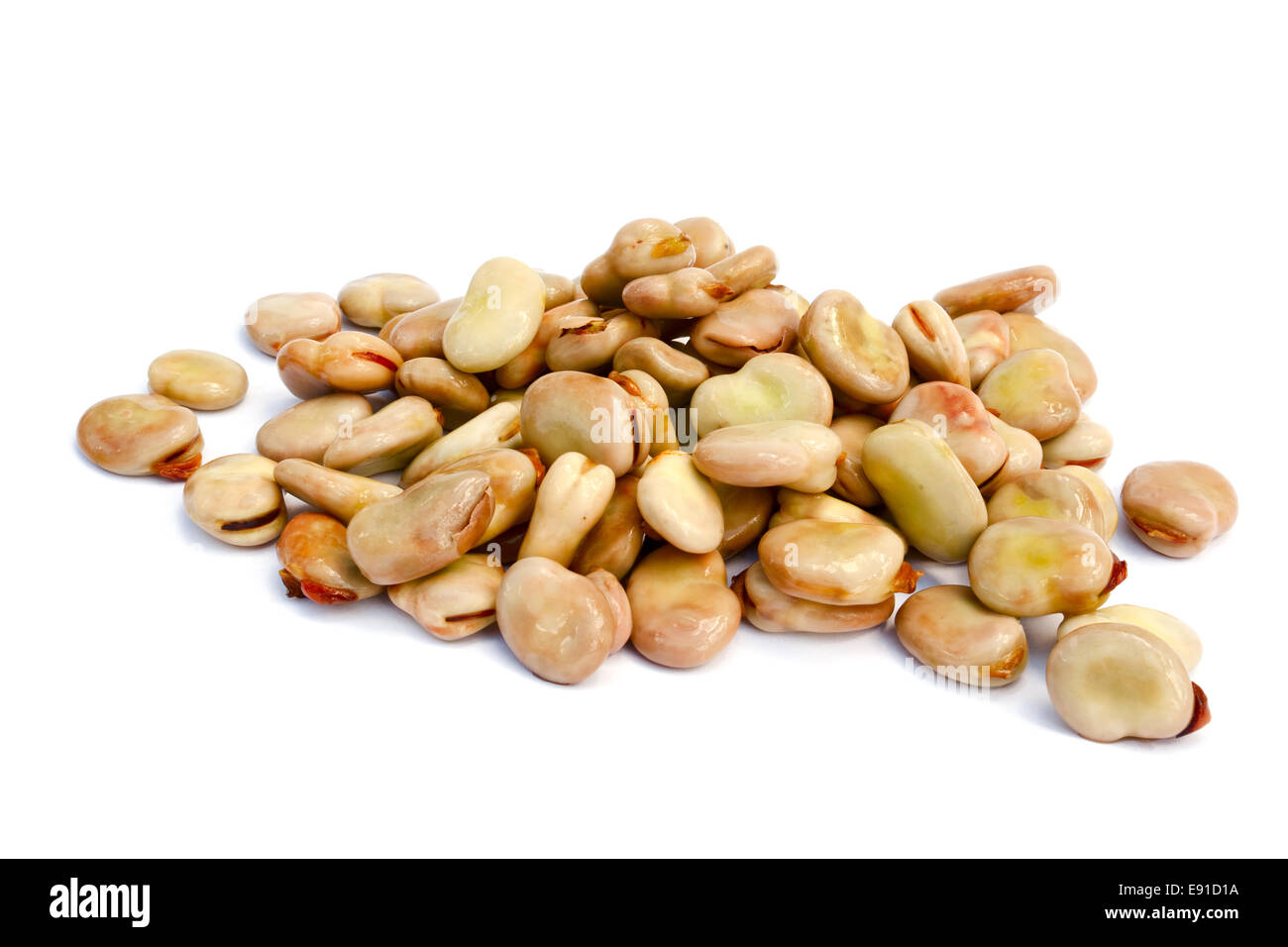 Seeds Broad Beans Stock Photo Alamy