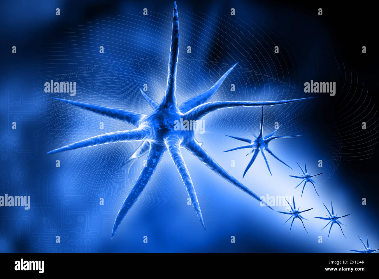 Neuron Stock Photo