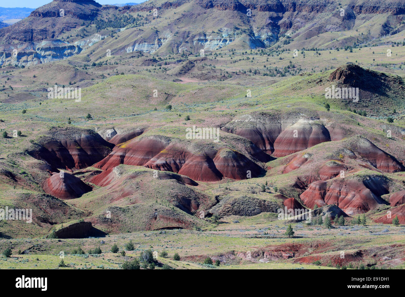 Blue Basin Area John Day Fossil Beds NM Stock Photo Alamy