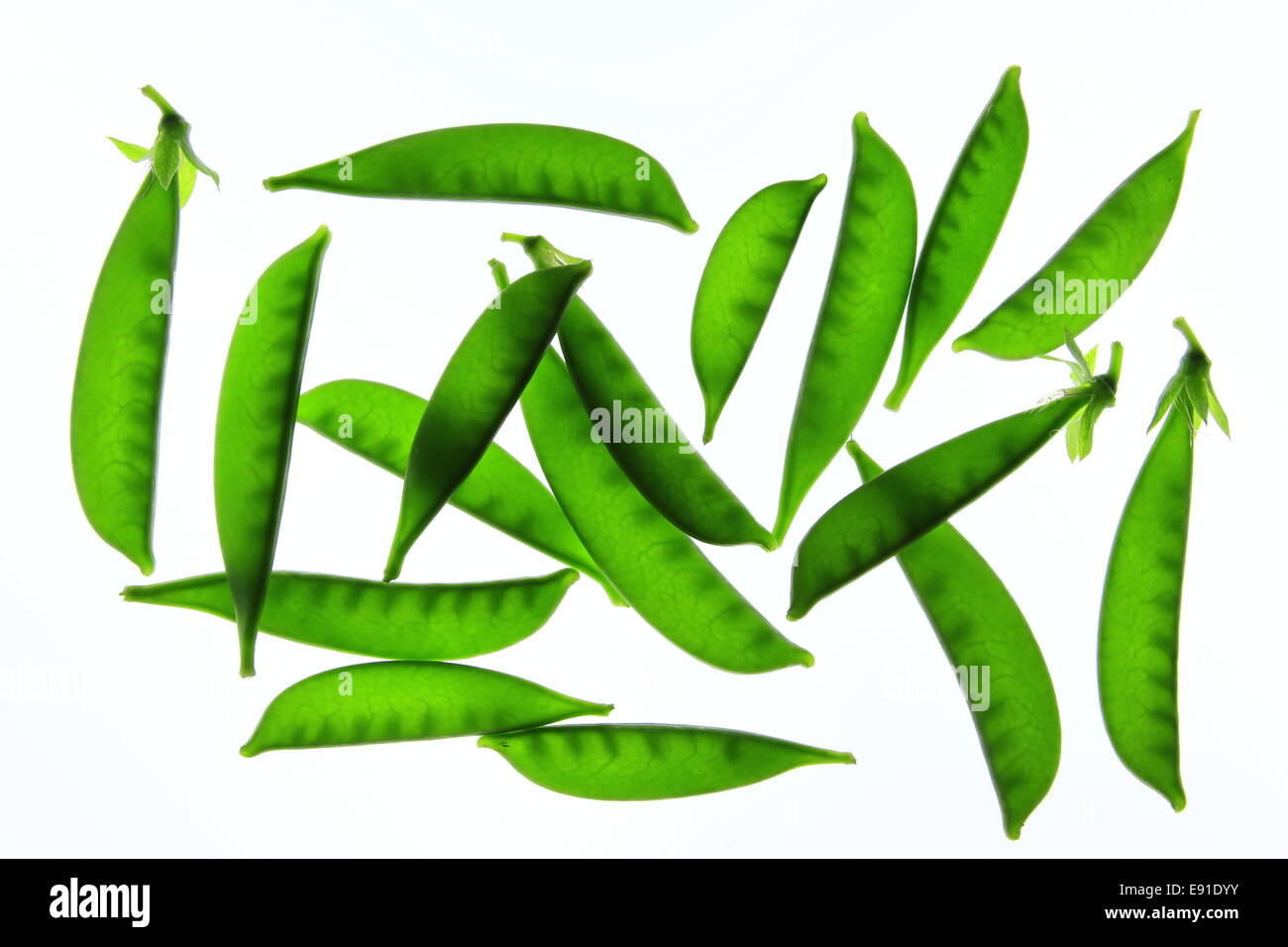suger pea Stock Photo