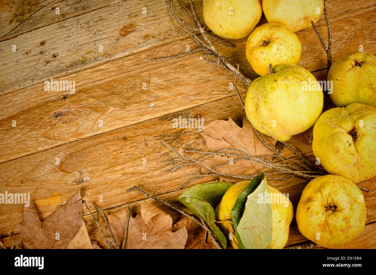 Freshly picked quince  on a wooden table Stock Photo