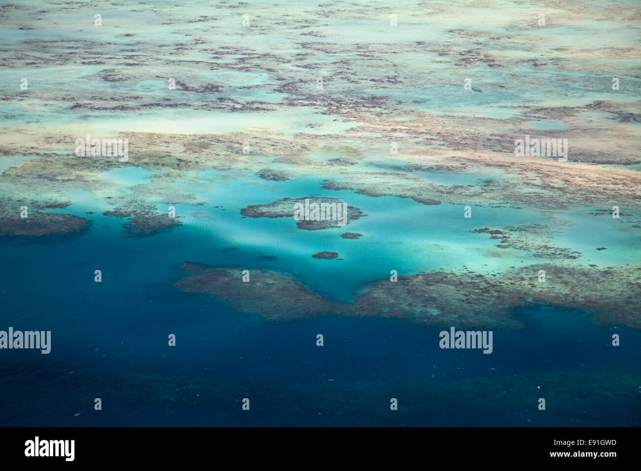 Great Barrier Reef Stock Photo Alamy