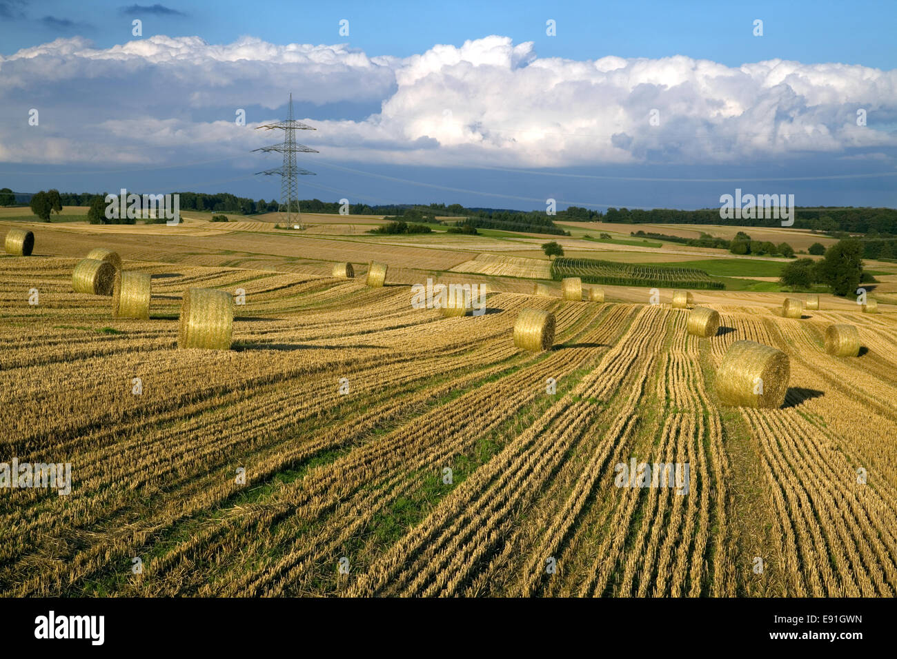 Round bale of straw on the field Stock Photo - Alamy