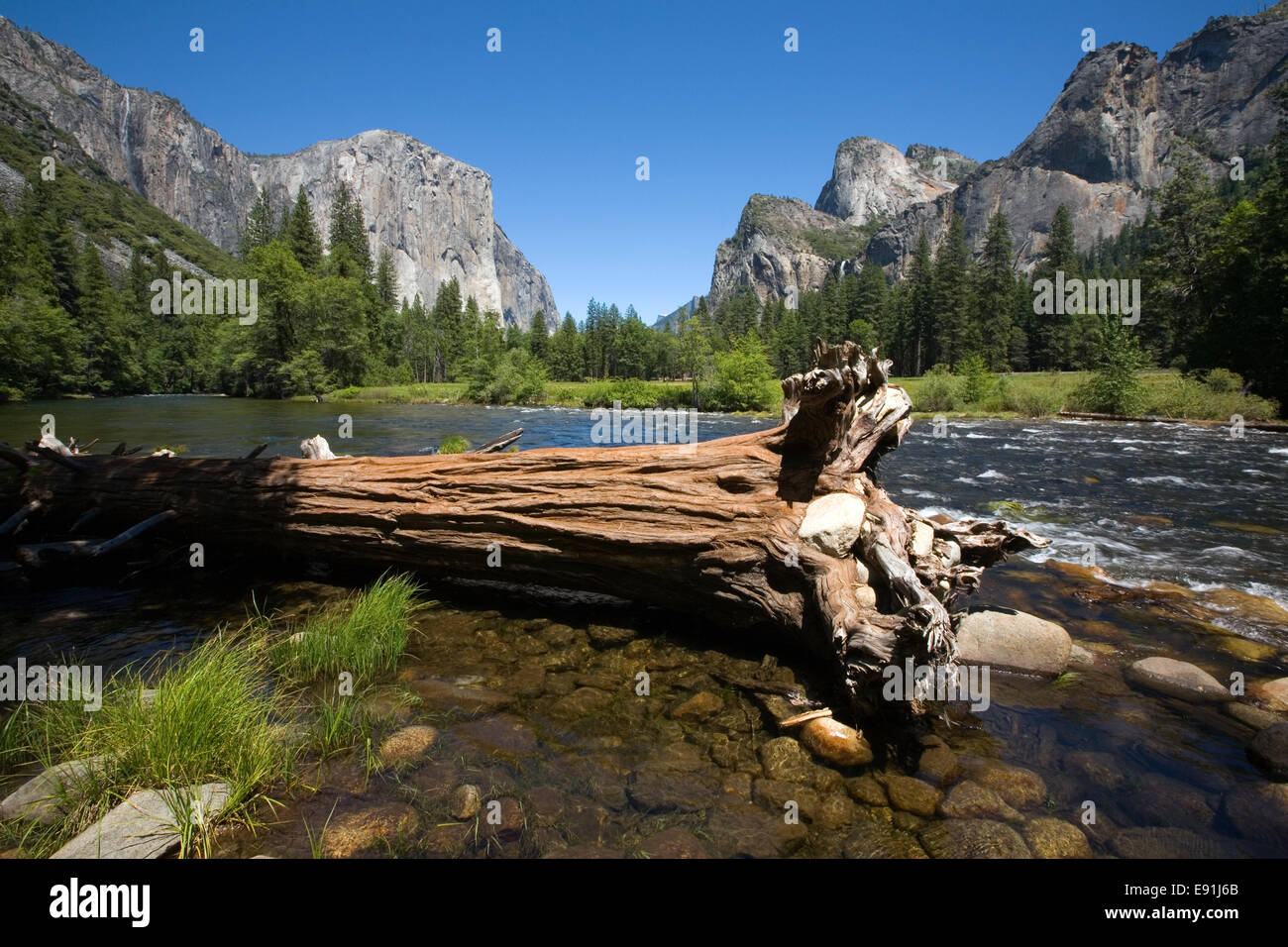 Valley view in the Yosemite national park Stock Photo