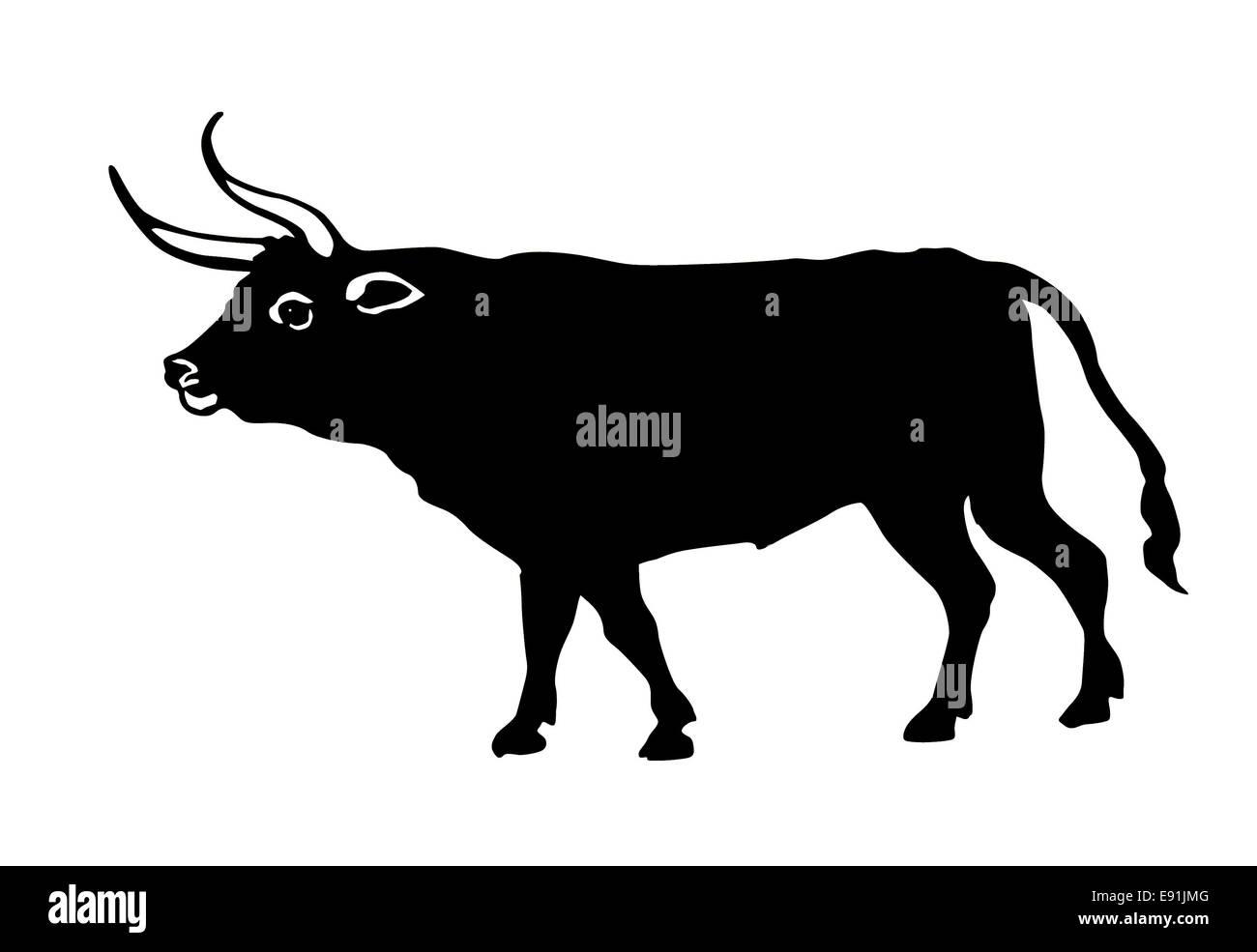illustration oxen on white background Stock Photo Alamy