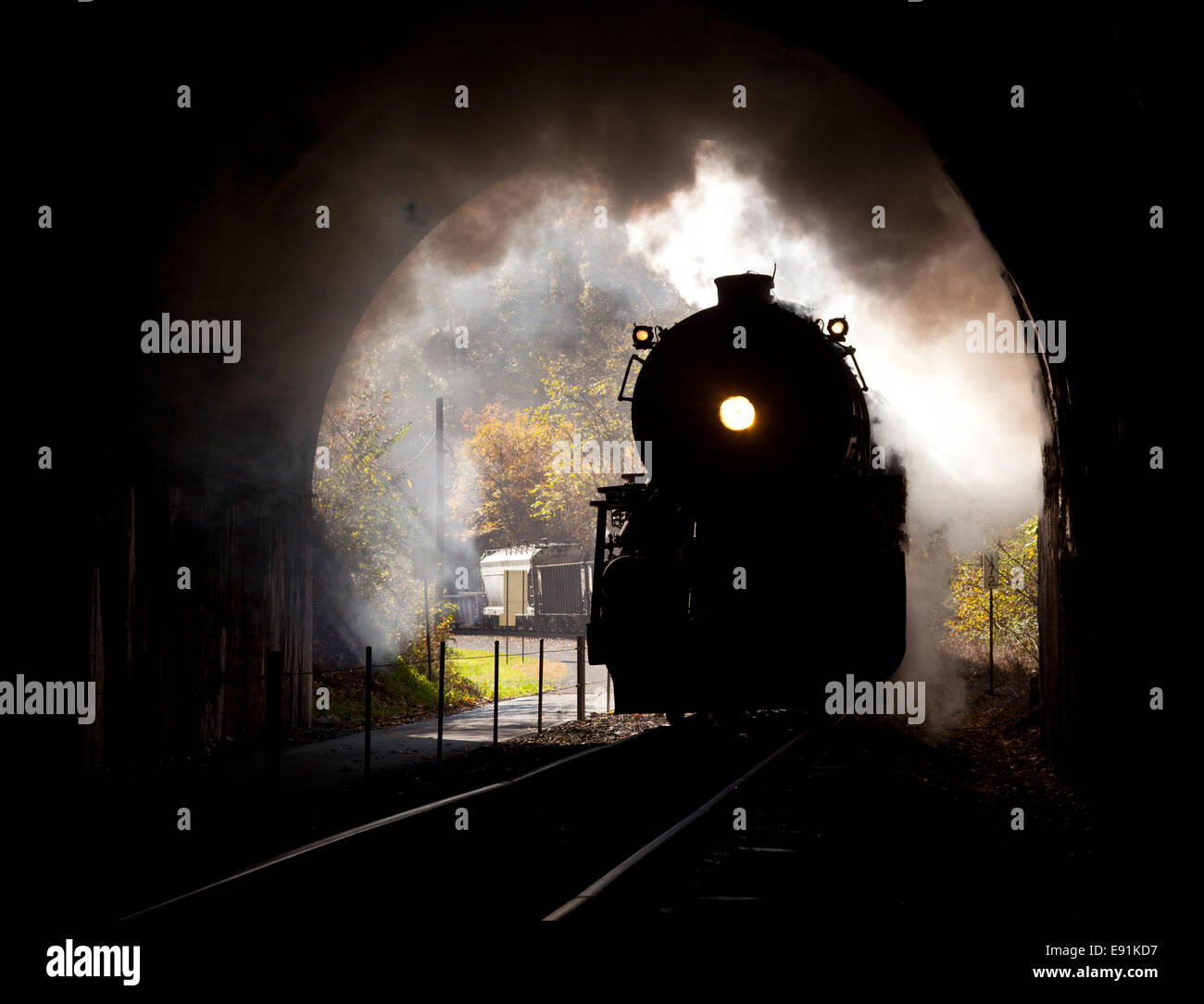 Steam locomotive enters tunnel Stock Photo