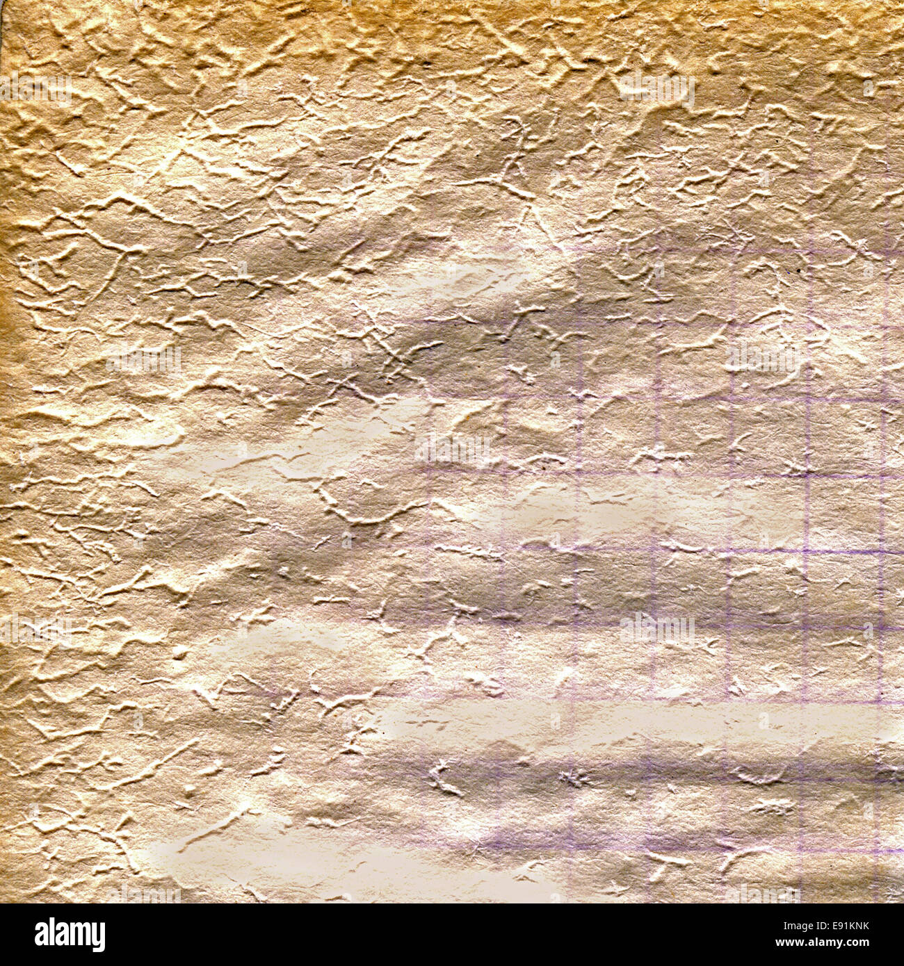 texture of the old paper Stock Photo - Alamy